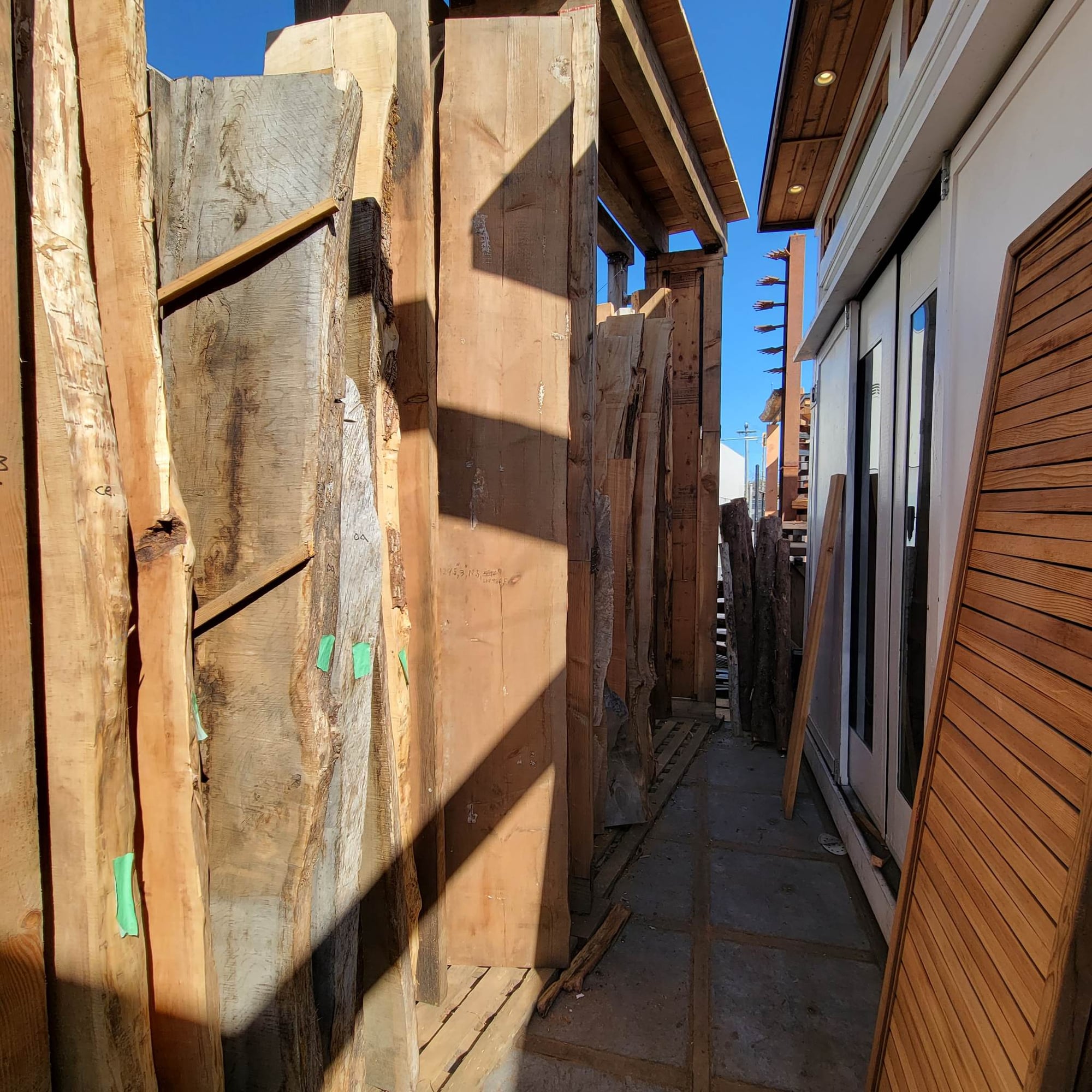 Douglas Fir